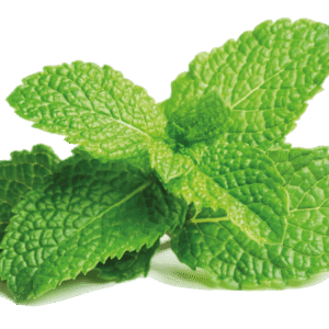 Peppermint 10 ml